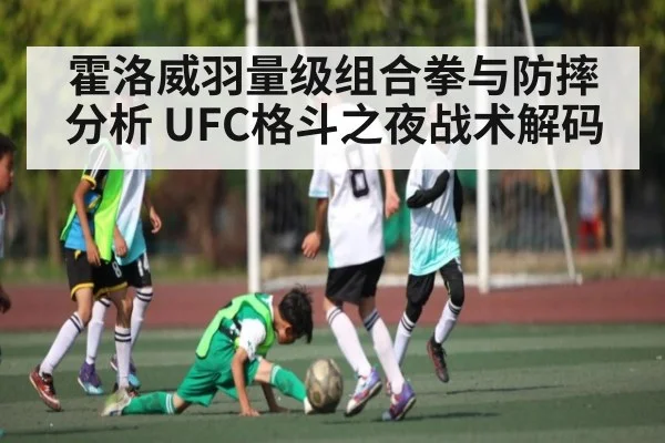 霍洛威羽量级组合拳与防摔分析 UFC格斗之夜战术解码